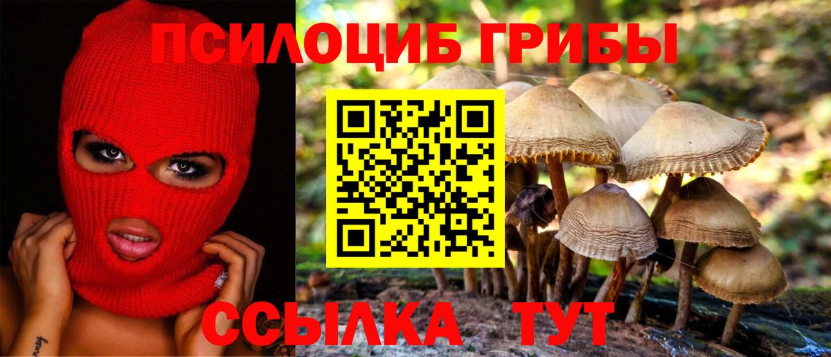 Псилоцибиновые грибы мицелий Острогожск